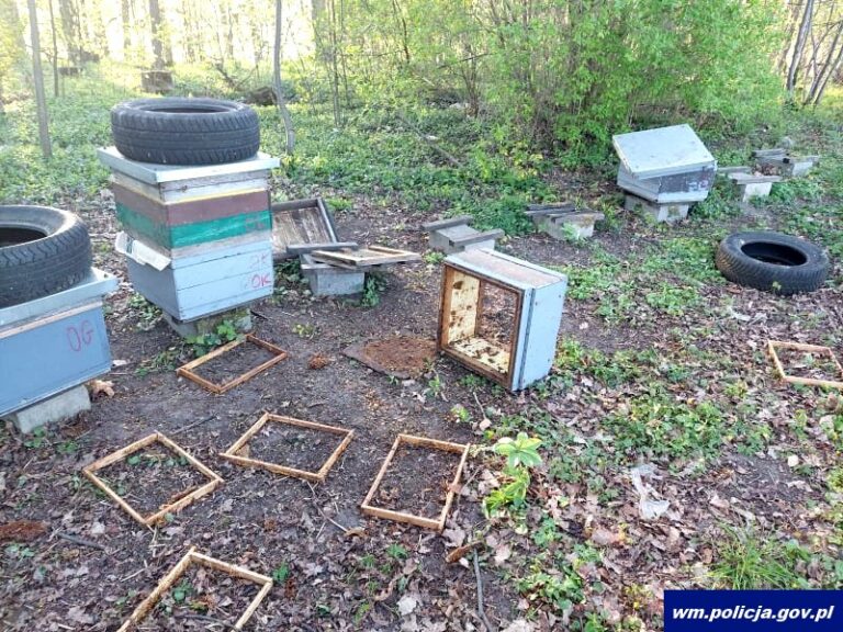 Zniszczono 27 uli. Dlaczego ktoś to zrobił?