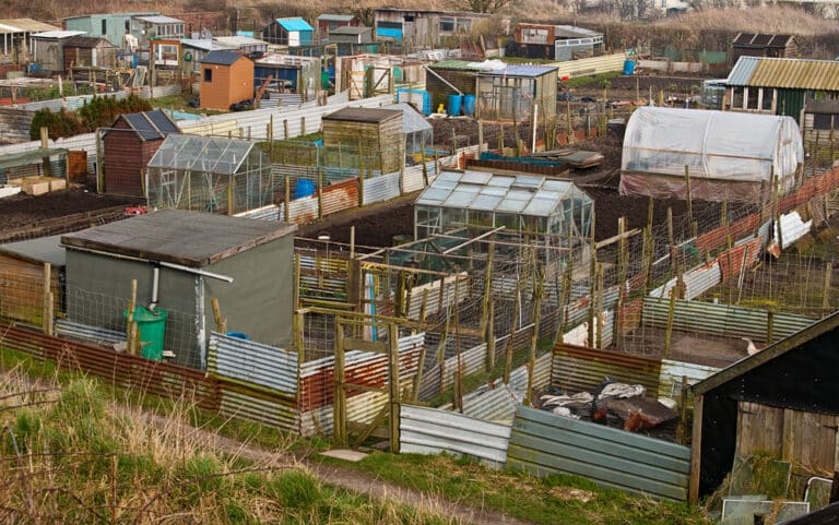 Miliony złotych dotacji dla właścicieli ogrodów działkowych