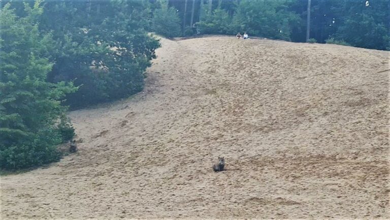 Popularna plaża przy g&oacute;rce nad Skandą szuka nabywcy
