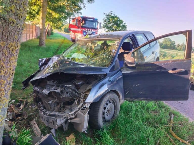 Ford uderzył w drzewo. Kierowca zbiegł z miejsca zdarzenia