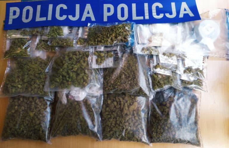 Kolejny cios. Policjanci weszli do jednego z dom&oacute;w na terenie Olsztyna i oniemieli