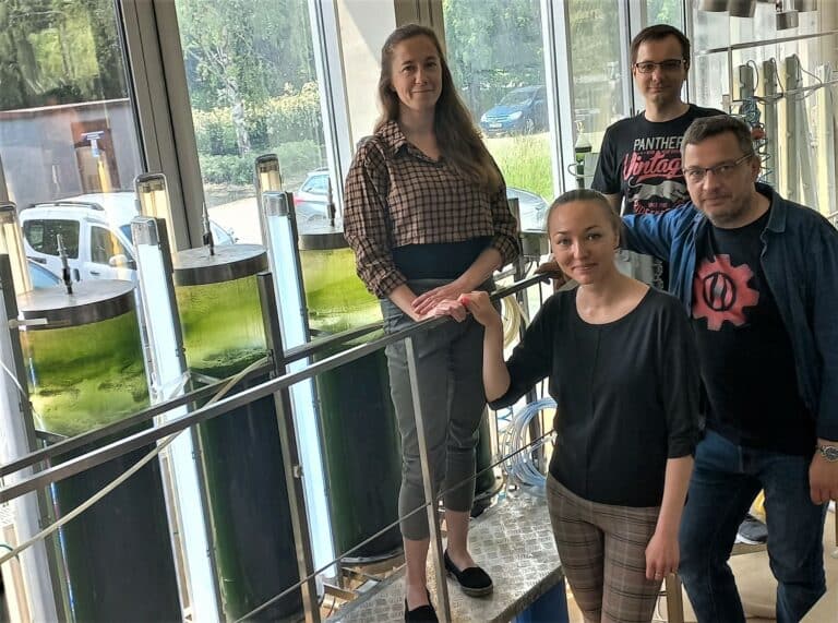 Paliwo z glon&oacute;w? &nbsp;Obiecujące wyniki badań naukowc&oacute;w z UWM