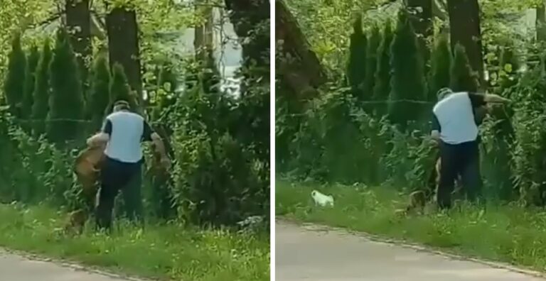 Przerażające nagranie z parku. Jak można być tak złym człowiekiem?