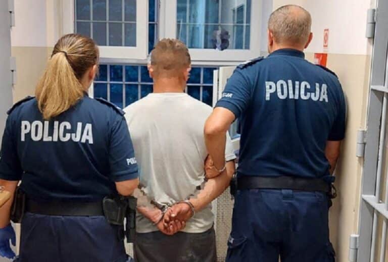 Zarzut dla 31-latka, który brutalnie kopnął kota