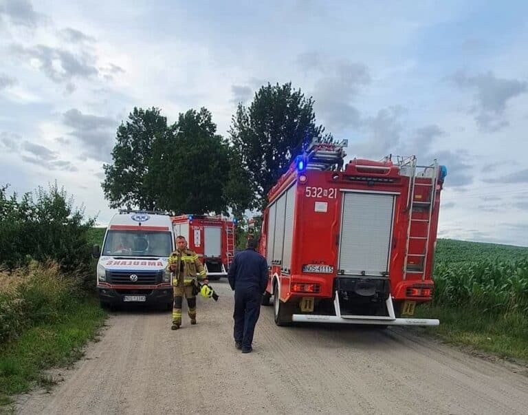Ujawniono ciało wiszące na drzewie. To 17-letni chłopak