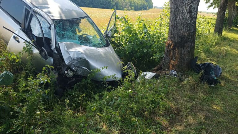 Kierujący Kia Ceed nie dostosował prędkości do warunków drogowych?