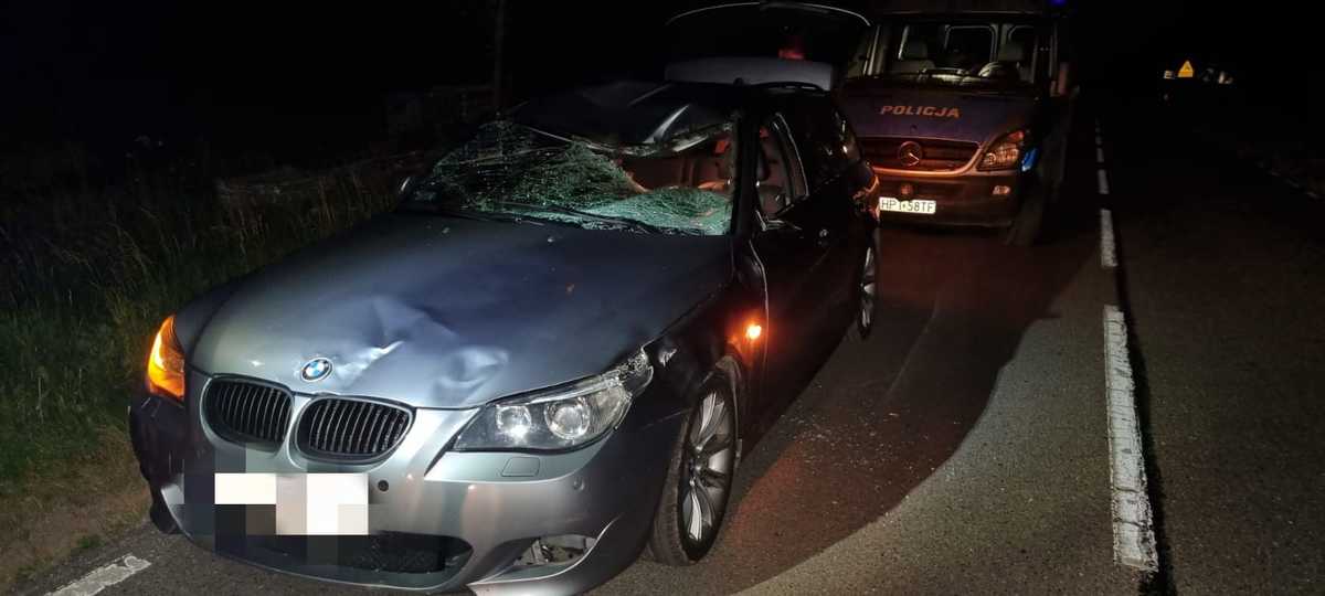 Kolizja BMW z łosiem wypadek Materiał partnera