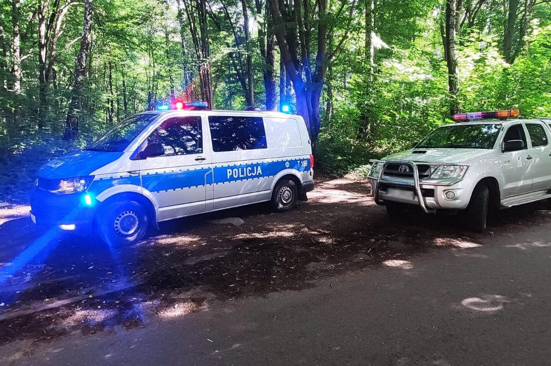 Zwalczanie przestępstw związanych z lasem, dzięki wspólnym patrolom Straży Leśnej i policji las Wiadomości, Olsztyn