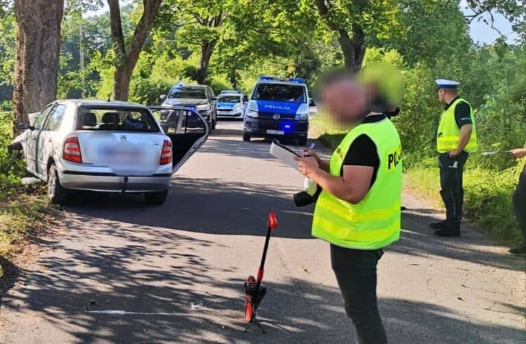 82-letni mężczyzna i 82-letnia kobieta ponieśli śmierć na miejscu. Dwoje pasażerów walczy o życie