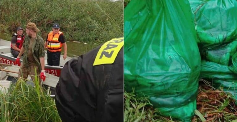 WIOŚ podał przyczynę śnięcia ryb w zbiorniku wodnym w powiecie olsztyńskim