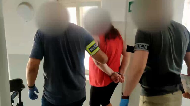 Naprawdę to robili? Olsztyńscy policjanci zatrzymali małżeństwo