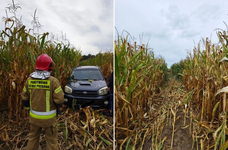 Samochód osobowy skosił pole kukurydzy. Kierowca zmarł