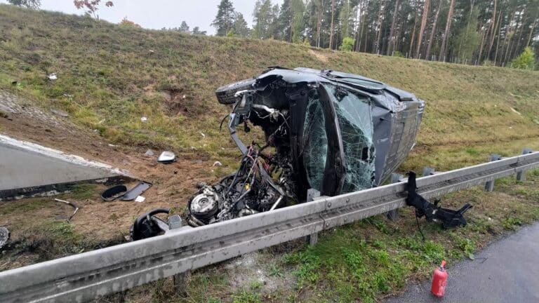 Na S7 busem uderzył w przejście dla zwierząt