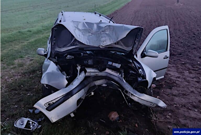 W wyniku nagłego wtargnięcia zwierzyny leśnej straciła panowanie nad pojazdem i uderzyła w drzewo