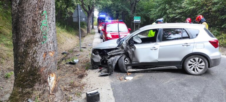 Suzuki uderzyła w drzewo