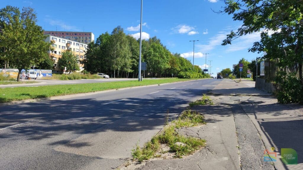 Wkrótce remont ulic Pstrowskiego i Plażowej