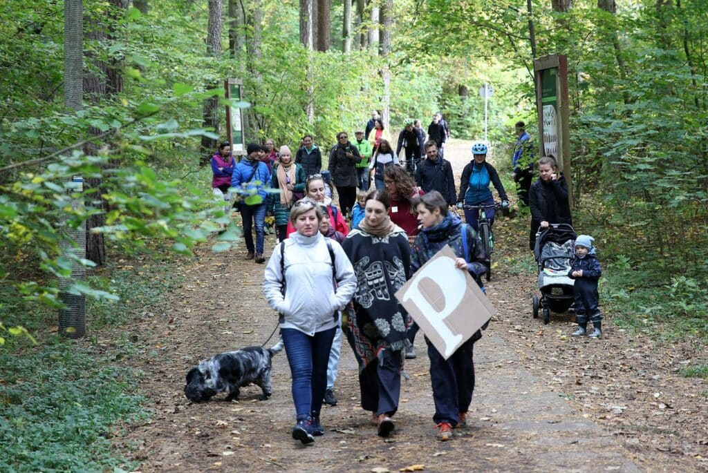 Spotkanie mieszkańców Olsztyna w obronie Lasu Miejskiego przed wycinką las Olsztyn, Wiadomości