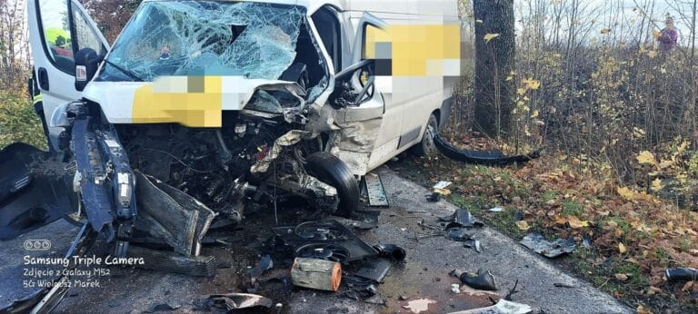 Rozbity samoch&oacute;d osobowy po wypadku na drodze między Dobrym Miastem a Miłakowem.