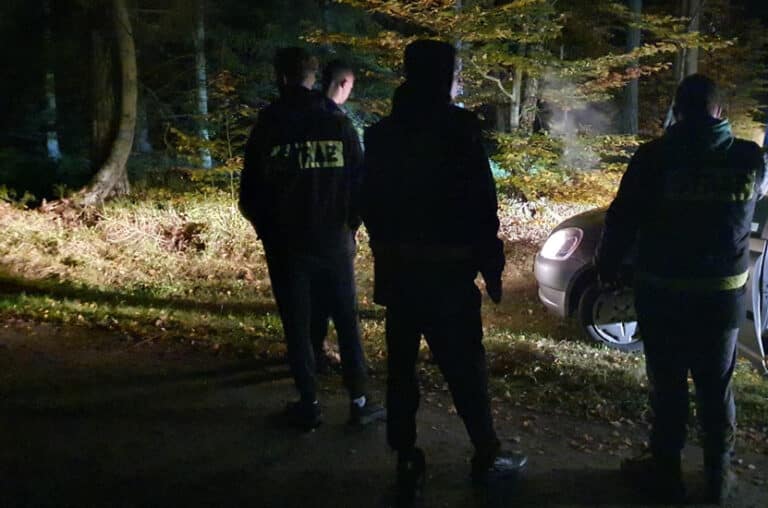 Trwa sezon na grzyby, ludzie błądzą w lasach