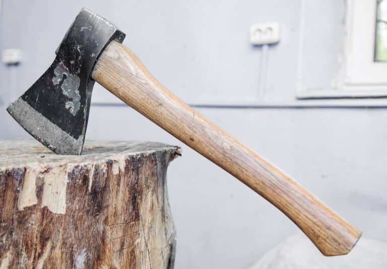 Zaatakował brata bijąc go początkowo pięściami, a następnie zadał cios siekierą w głowę