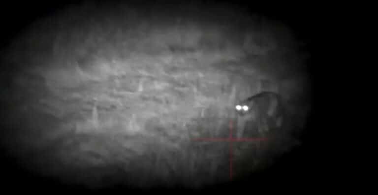 Niecodzienne nagranie z Warmii. To naprawdę wyjątkowe wydarzenie