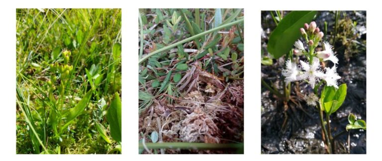 Rezerwat Uroczysko Kramnik powiększony o prawie 16 ha