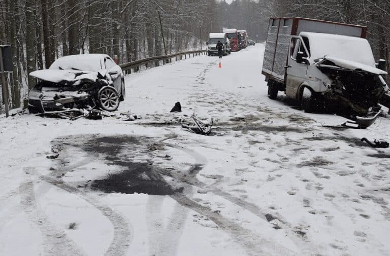 Kierujący Mercedesem przewoził 10 cieląt, z których żaden nie ucierpiał. Sam trafił do szpitala