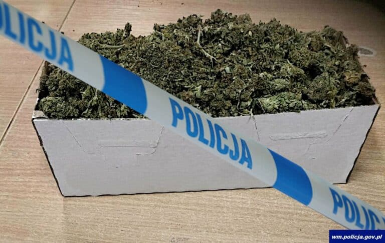 Mężczyzna posiadał ponad 200 gramów suszu roślinnego, kiedy to został zatrzymany przez funkcjonariuszy