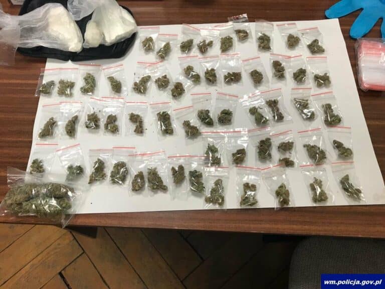 Susza na święta? Kryminalni zlikwidowali lokalną &bdquo;hurtownię&rdquo; narkotyk&oacute;w w domu 28-latki