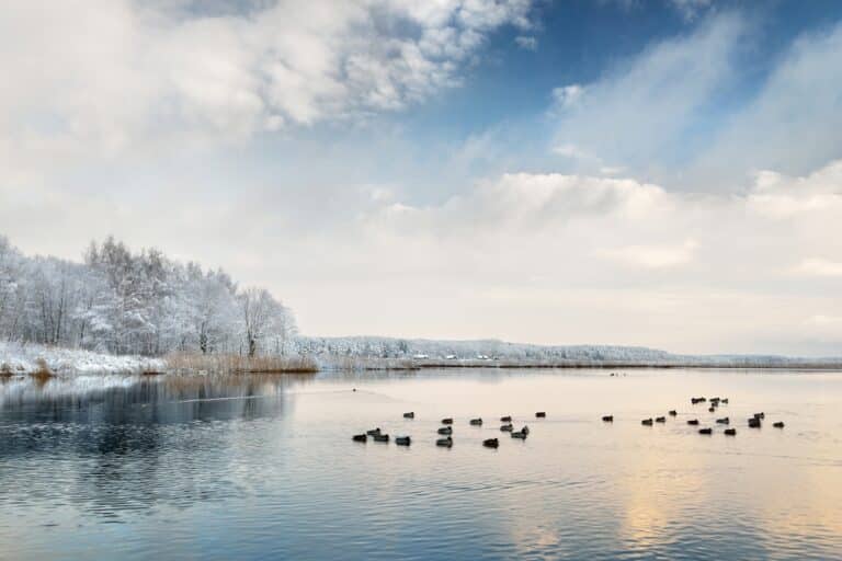 Coś nadzwyczajnego? Mimo mrozu mazurskie jeziora nie zamarzły