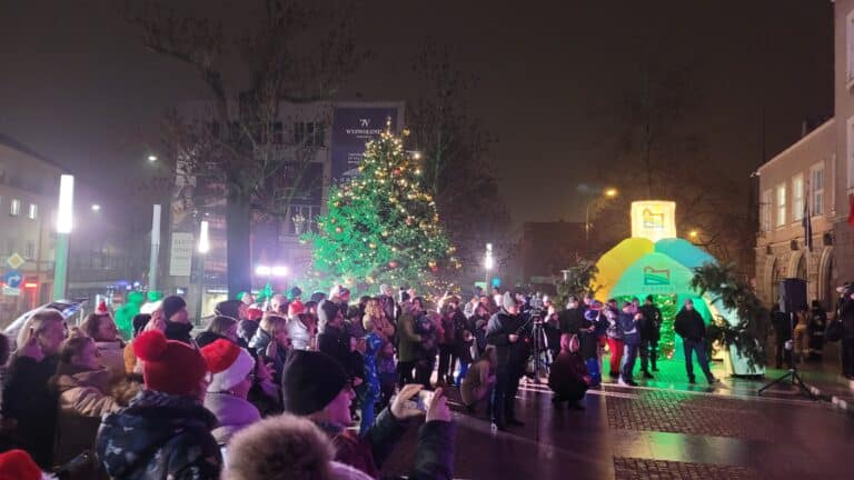 Na placu przed ratuszem stanęła choinka