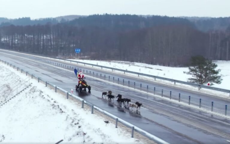 Mikołaj i psi zaprzęg testował obwodnicę