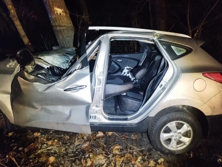 18-letni mieszkaniec Olsztyna pojazdem uderzył w drzewo. Okazało się, że miał  2 promile alkoholu