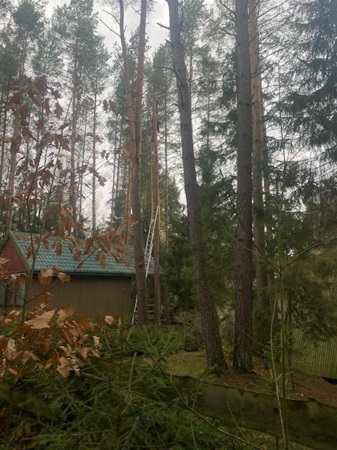 Martwy mężczyzna wisiał na drzewie 15 metrów nad ziemią wypadek Olsztyn, Wiadomości