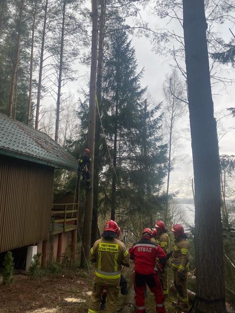Martwy mężczyzna wisiał na drzewie 15 metrów nad ziemią wypadek Olsztyn, Wiadomości