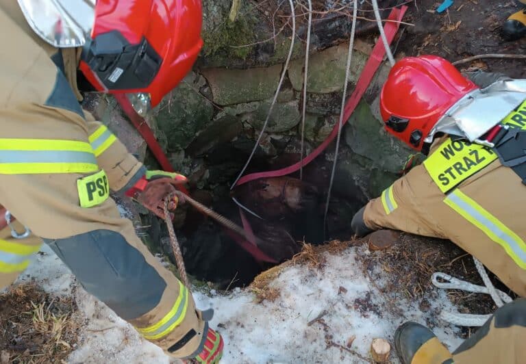 Klacz wpadła do trzymetrowej studni na Mazurach. Na pomoc ruszyli strażacy