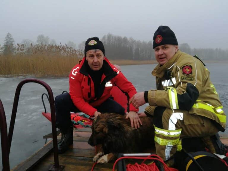 Strażacy uratowali psa tonącego w jeziorze