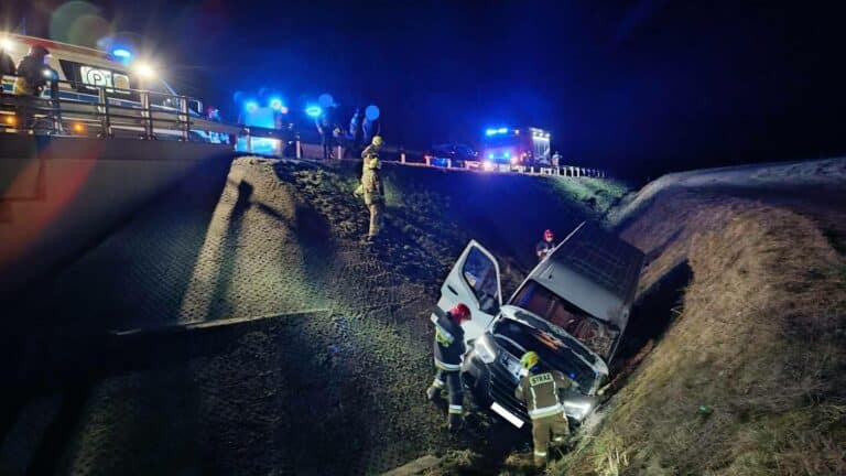 Kierowca wypadł dostawczakiem z drogi i wylądował w rowie przy rzece