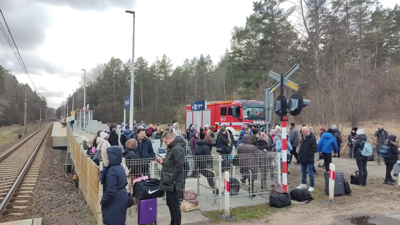 Wiatr przewrócił drzewo na tory kolejowe. Pociąg utknął pkp Giżycko, Wiadomości, zPAP