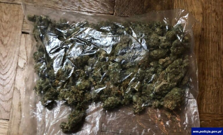 Funkcjonariusze Policji z Olsztyna postanowili wylegitymować mężczyznę. 49-latek stał się nerwowy