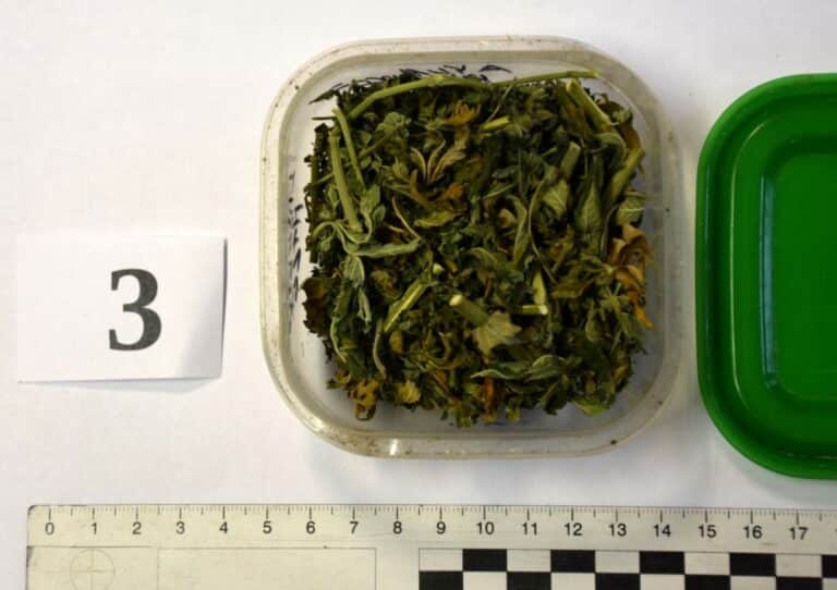 Policjanci przeprowadzili skuteczną akcję przeciwko handlarzom narkotykowym