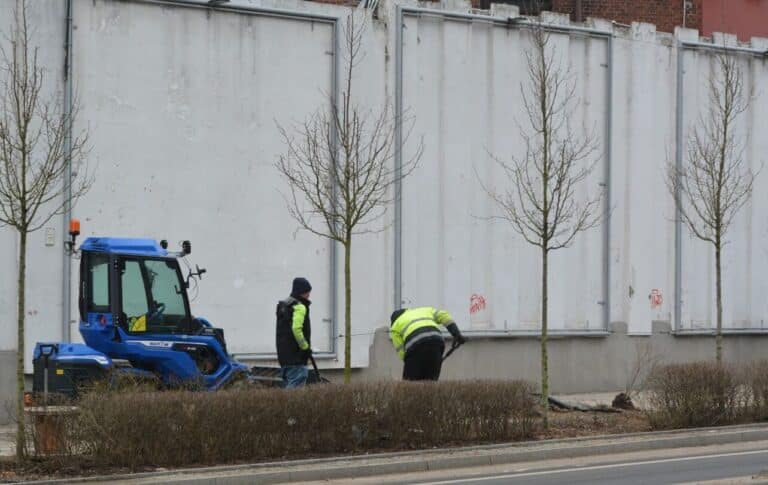 W Olsztynie trwa sadzenie blisko 3 tys. drzew