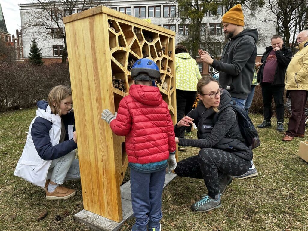 Nowy domek dla owadów zapylających w parku na Osiedlu Grunwaldzkim przyroda Olsztyn, Wiadomości, zShowcase