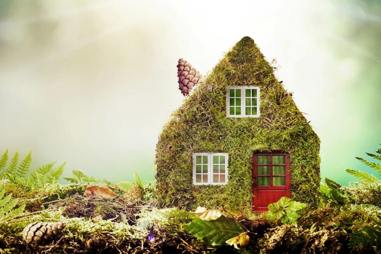 Koalicja Termoizolacji, czyli wspólny front walki o czyste powietrze