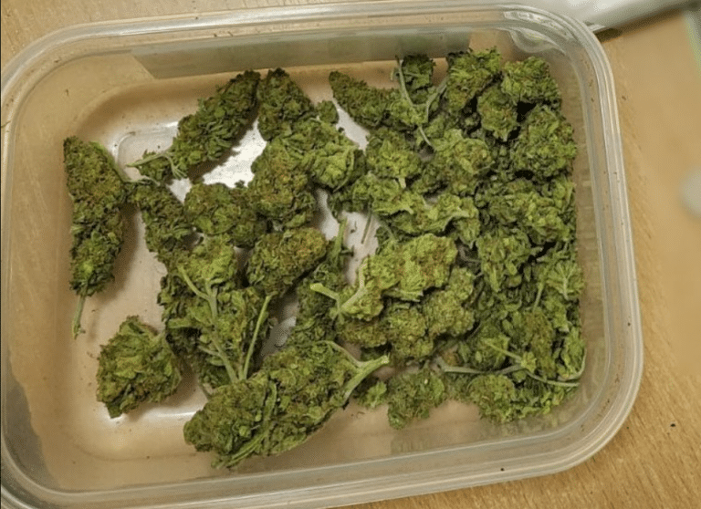 Wyluzowany 17-latek z Olsztyna palił trawkę na ulicy koło policyjnych tajniaków