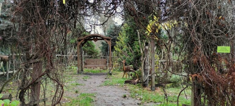 Wiosenne otwarcie Arboretum w Nadleśnictwie Kudypy