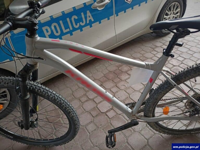 Nastolatek za skorzystanie z okazji odpowie przed sądem