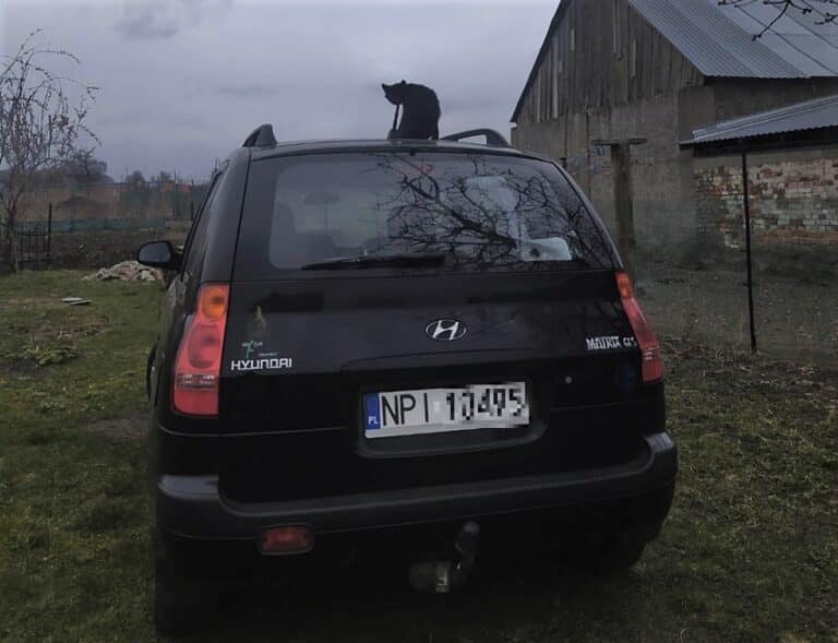 Fajna historia. Internauci pomogli seniorowi znaleźć auto