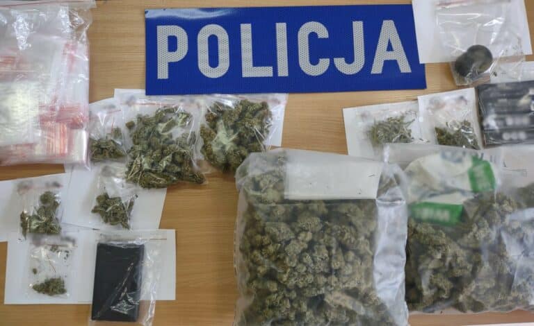 Walka z przestępczością narkotykową w Olsztynie. Sukces policji