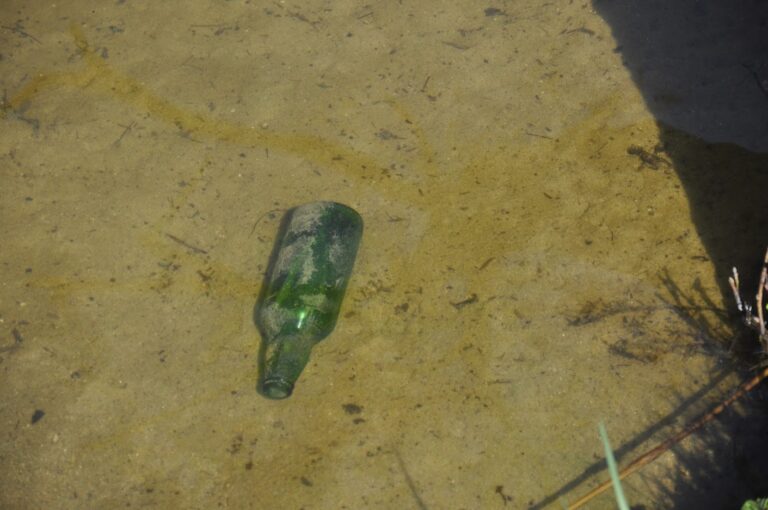 Lewica Razem zaprasza na akcję sprzątania brzegów Łyny i Kortówki